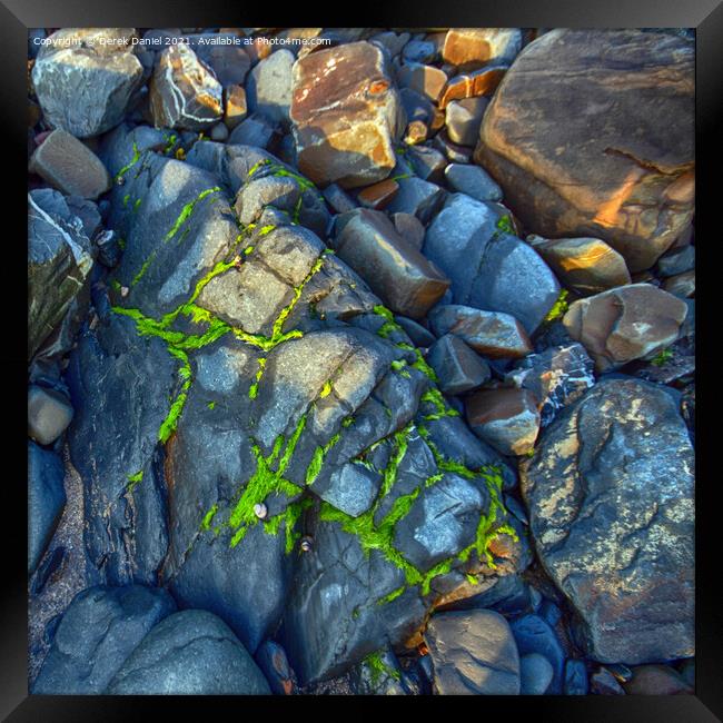Moss covered Rocks Framed Print by Derek Daniel