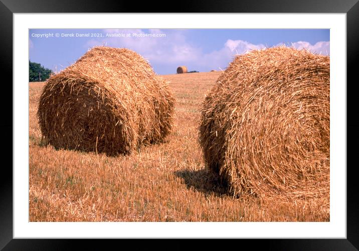 Golden Haybales Framed Mounted Print by Derek Daniel