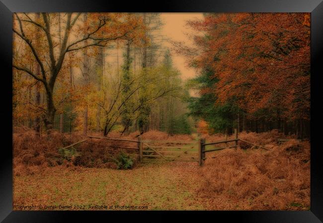 Autumn Forest Scene Framed Print by Derek Daniel