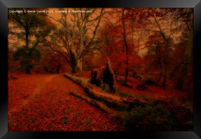 Enchanted Autumn Forest Framed Print by Derek Daniel