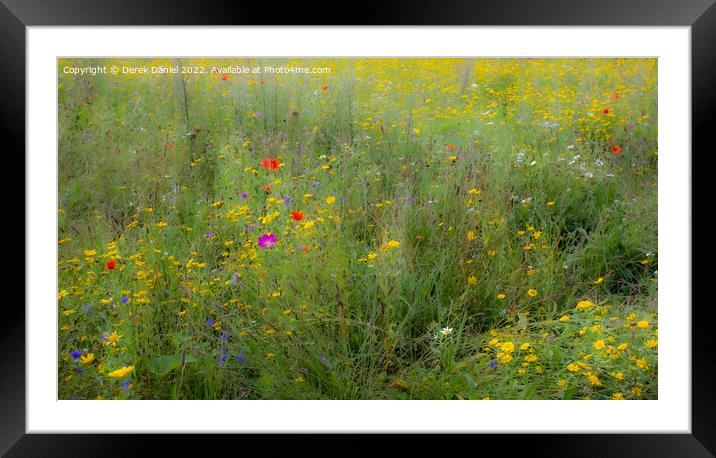Dreamy Wildflowers Framed Mounted Print by Derek Daniel