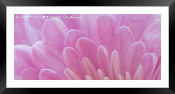 Delicate Petals Dance Framed Mounted Print by Derek Daniel