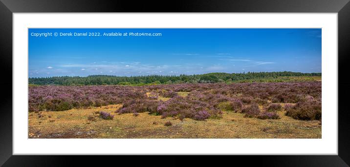  A field of Purple Heather Framed Mounted Print by Derek Daniel