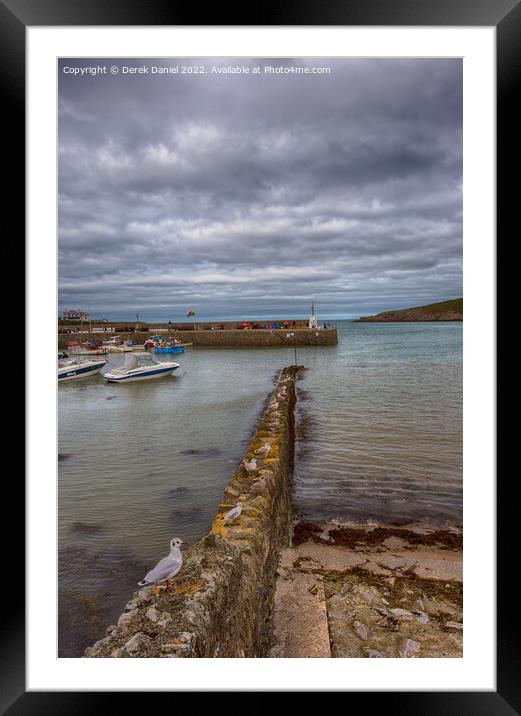 Seagulls along the wall Framed Mounted Print by Derek Daniel