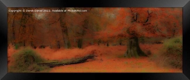 Autumn Forest Scene (panoramic) Framed Print by Derek Daniel