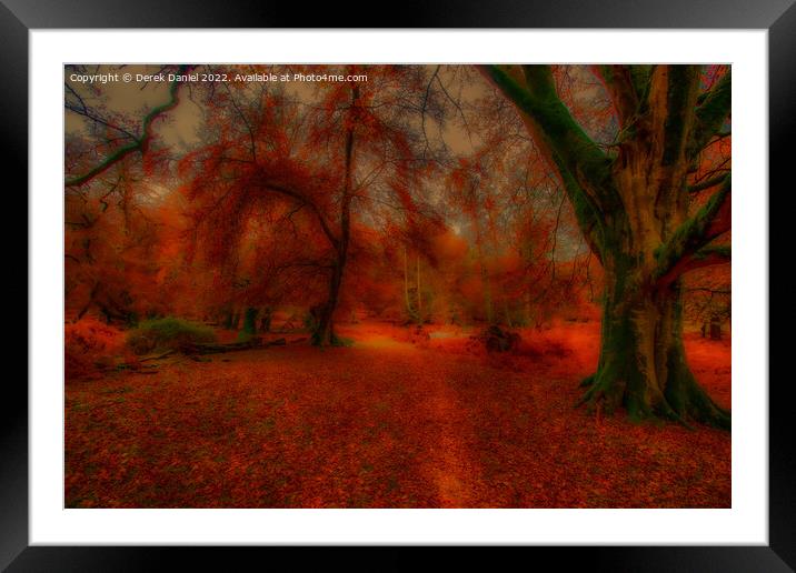 Enchanting Autumn Forest Framed Mounted Print by Derek Daniel
