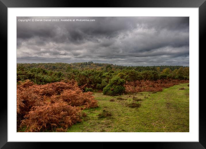 Enchanting Autumn at Bratley View Framed Mounted Print by Derek Daniel