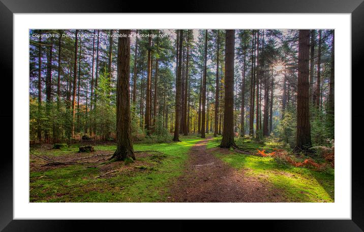 Enchanted Forest Pathway Framed Mounted Print by Derek Daniel