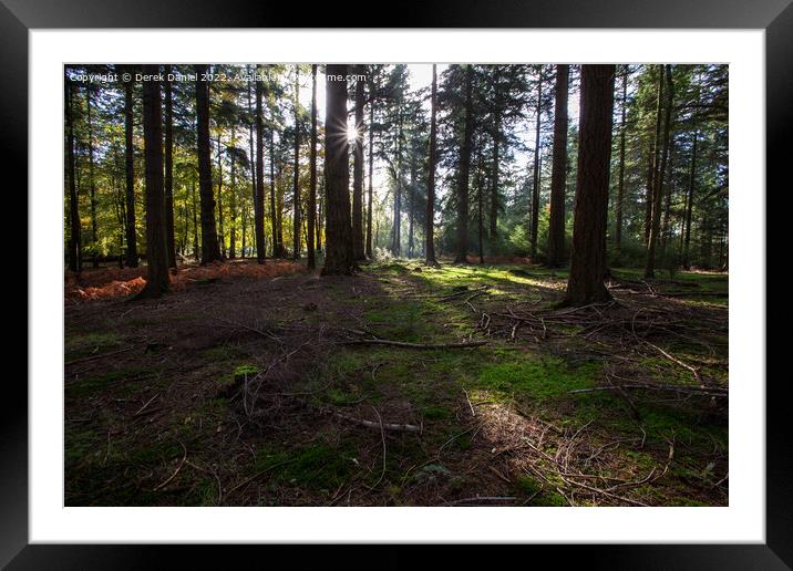 Striking Autumn Landscape Framed Mounted Print by Derek Daniel