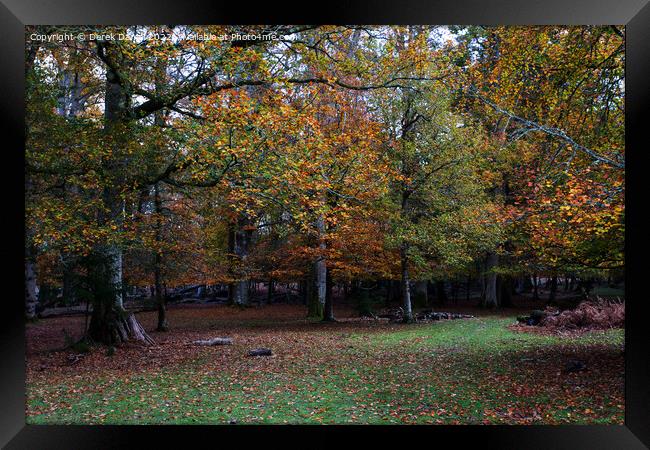 Vibrant Autumn Woods Framed Print by Derek Daniel