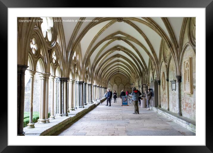 A serene walk through Salisburys Gothic cloisters Framed Mounted Print by Derek Daniel