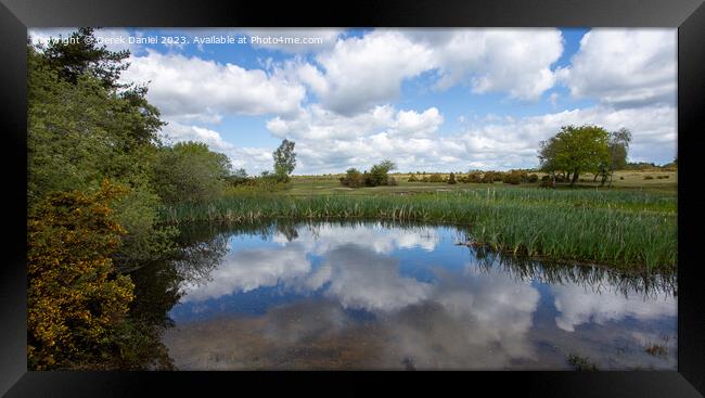 Tranquil Waters of Hatchet Pond Framed Print by Derek Daniel