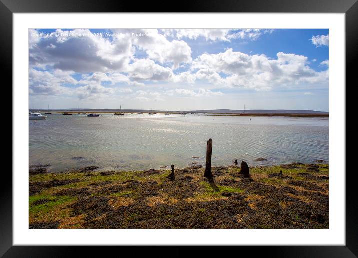Looking Out Over The Solent At Keyhaven Framed Mounted Print by Derek Daniel