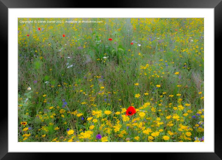 Dreamy Meadow Flowers Framed Mounted Print by Derek Daniel
