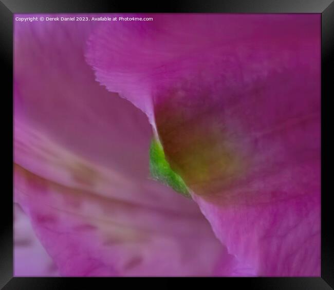 Enchanting Symphony of Violet Floral Elegance Framed Print by Derek Daniel