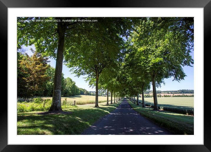 the avenue Moor Crichel Framed Mounted Print by Derek Daniel