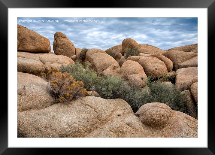 Joshua Tree National Park Framed Mounted Print by Derek Daniel