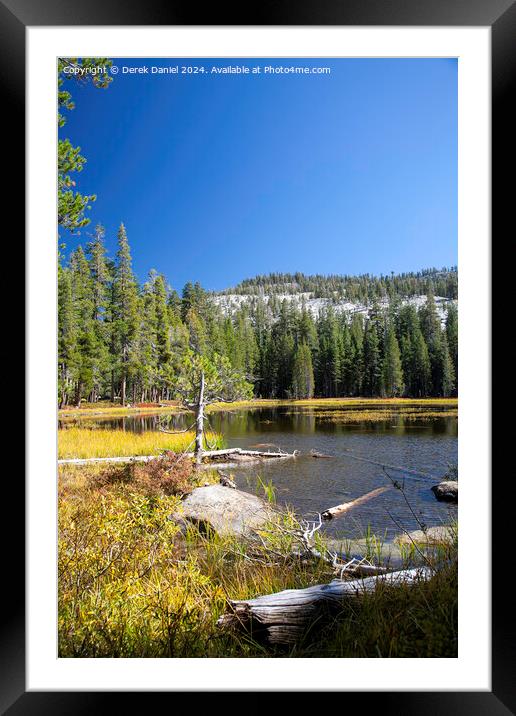 Beaver Pond, Lundy Canyon Framed Mounted Print by Derek Daniel