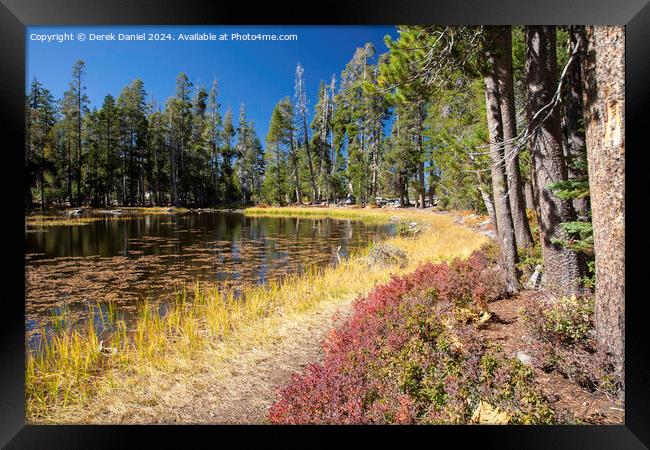 Beaver Pond, Lundy Canyon Framed Print by Derek Daniel