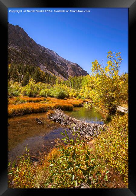 Lundy Canyon, Sierra Nevada Framed Print by Derek Daniel