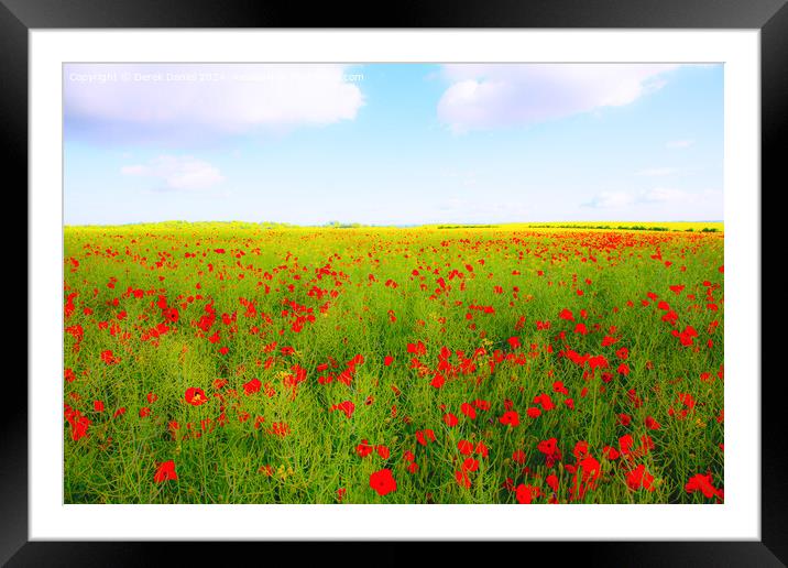 Poppy field Framed Mounted Print by Derek Daniel