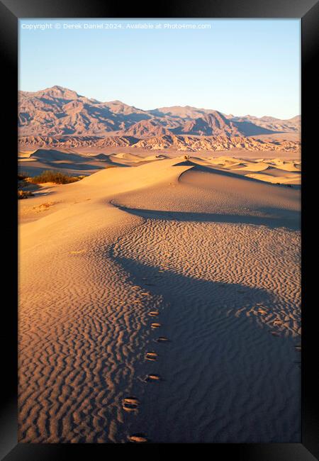 Mesquite Sand Dunes, Stovepipe Wells, Death Valley Framed Print by Derek Daniel
