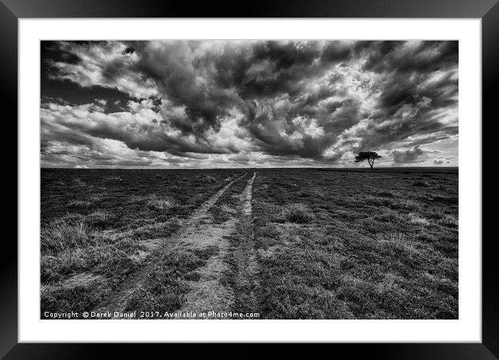 The Tree (mono) Framed Mounted Print by Derek Daniel