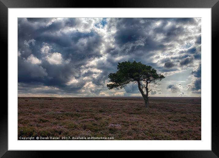 Majesty of the Moors Framed Mounted Print by Derek Daniel