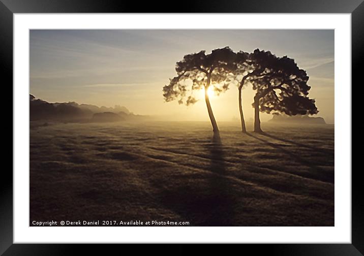 3 Trees at sunrise Framed Mounted Print by Derek Daniel