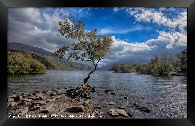 The Lone Tree Framed Print by Derek Daniel