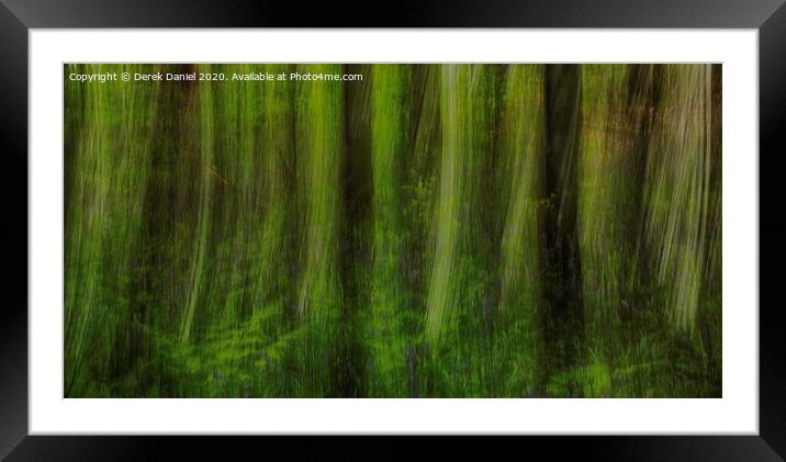 Tree Abstract  Framed Mounted Print by Derek Daniel