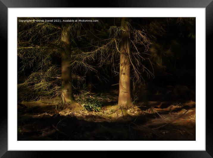 Sunlit Trees in a Dark Forest Framed Mounted Print by Derek Daniel