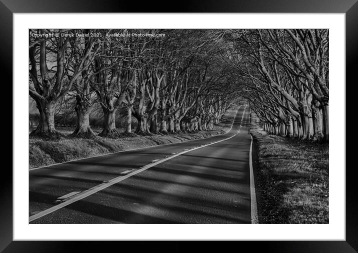 Winter sun on Beech Avenue #2 Framed Mounted Print by Derek Daniel