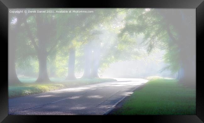 Misty Morning At Beech Avenue #2 Framed Print by Derek Daniel