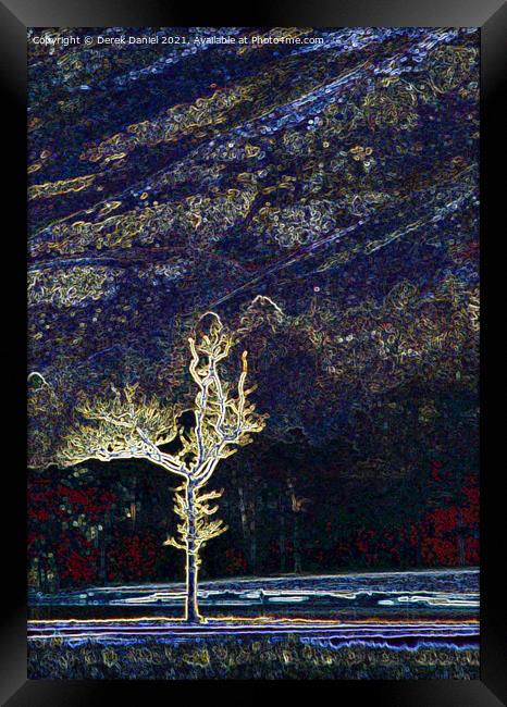 The Fire Tree Framed Print by Derek Daniel