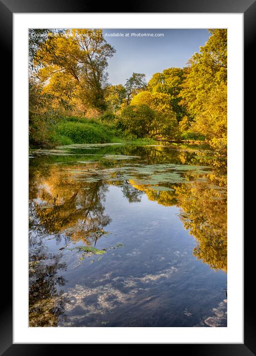 River Stour in Autumn Framed Mounted Print by Derek Daniel