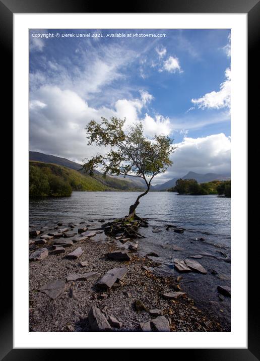 The Lone Tree at Llyn Padarn Framed Mounted Print by Derek Daniel