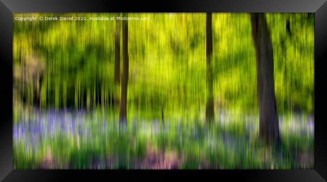 Bluebell Wood Impression Framed Print by Derek Daniel