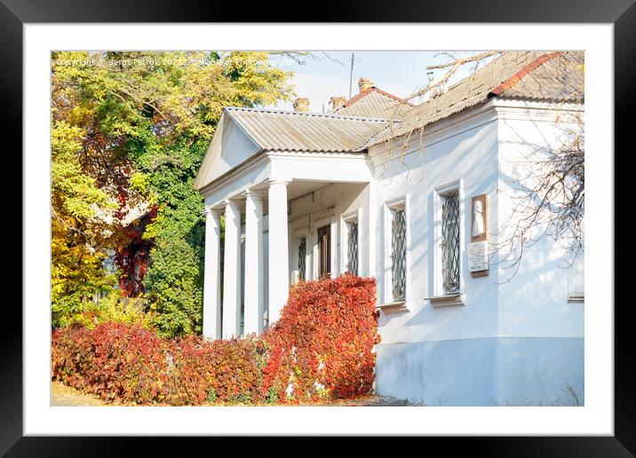 Colorful autumn landscape of an old house with white columns and bright red wild grapes on the facade with a sunny day. Framed Mounted Print by Sergii Petruk