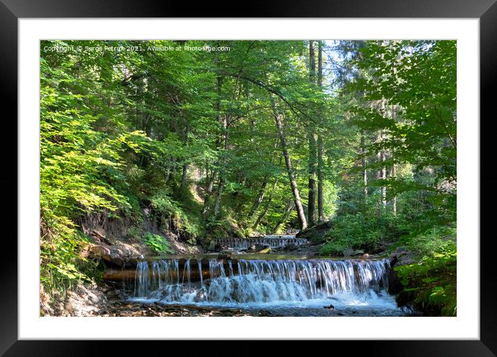 The beautiful water of a mountain river shimmers in the rays of daylight on a sunny day in the Carpathian forest. Framed Mounted Print by Sergii Petruk