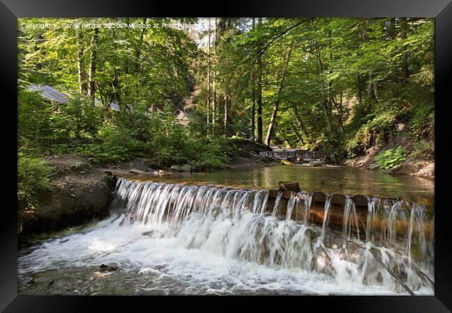Сascading waterfall of a mountain stream in the Carpathians Framed Print by Sergii Petruk