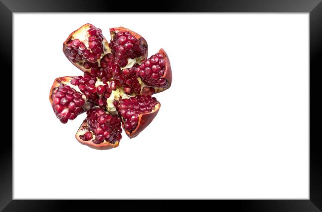 Ripe pomegranate fruit on a white background Framed Print by Sergii Petruk