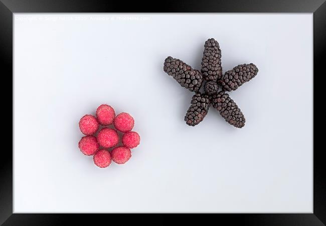 Raspberry and a big black blackberry are arranged diagonally on a light background Framed Print by Sergii Petruk