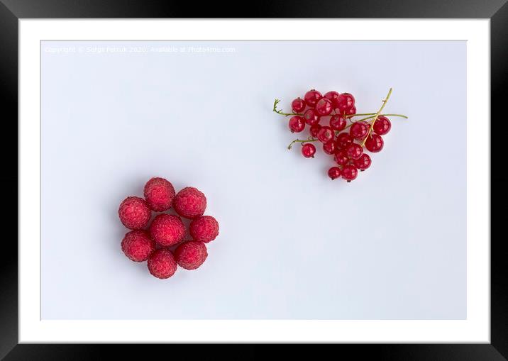 Raspberries and red currants are located diagonally on a light background Framed Mounted Print by Sergii Petruk