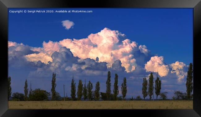 A large beautiful cloud in the sunset rays of sunlight hung over slender poplars Framed Print by Sergii Petruk