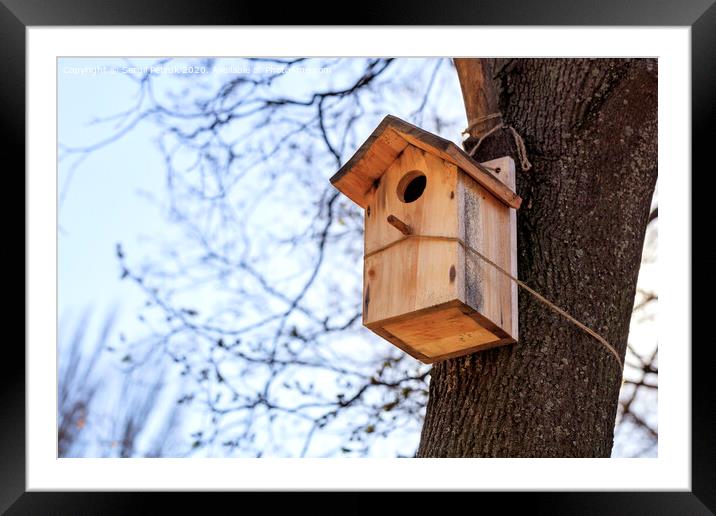 A new birdhouse is attached by a rope high on an oak tree in a spring park. Framed Mounted Print by Sergii Petruk