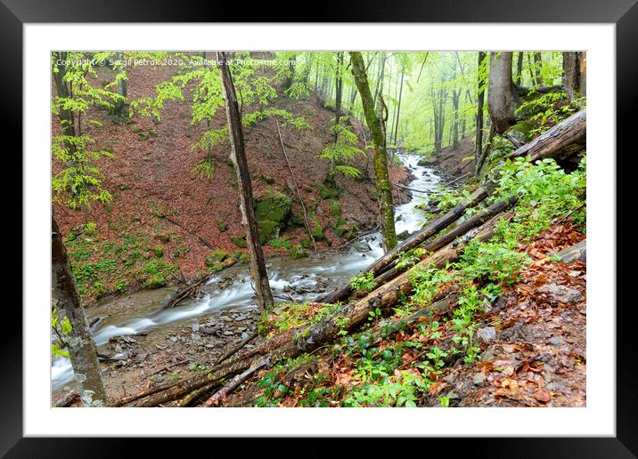 The mountain river flows along the slope of a damp spring forest. Framed Mounted Print by Sergii Petruk