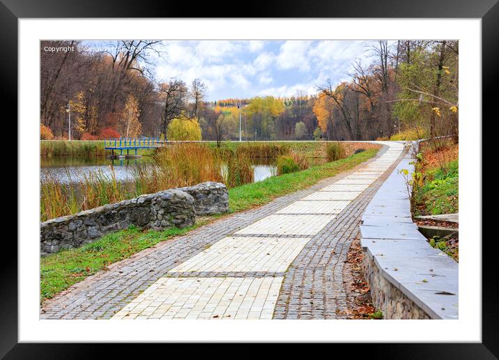 The paving slabs road with a framing of cobblestone leaves into the city autumn park Framed Mounted Print by Sergii Petruk