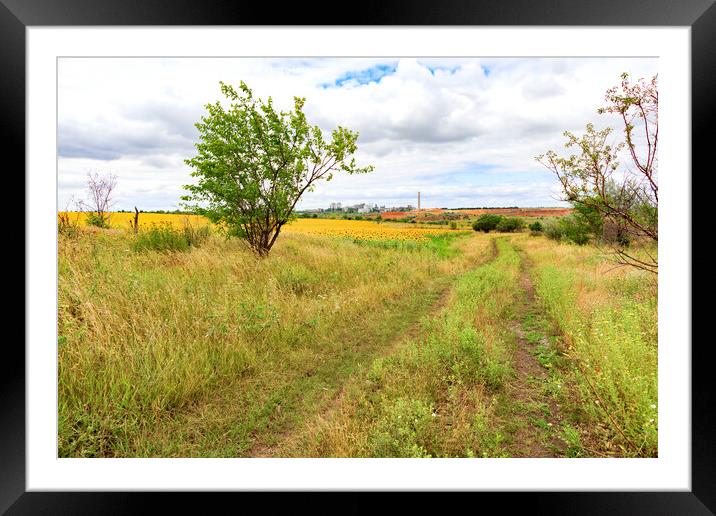 Rural landscape of empty road near sunflower field at summer day. Framed Mounted Print by Sergii Petruk
