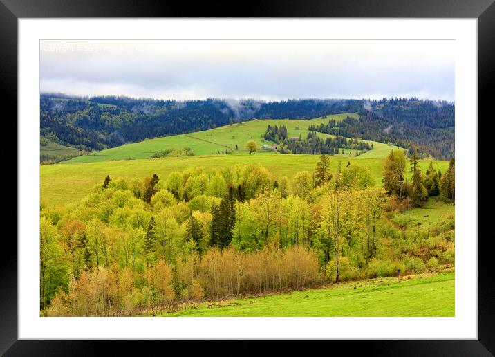 View from a height on the village and the spring Carpathians overgrown with young deciduous trees. Framed Mounted Print by Sergii Petruk